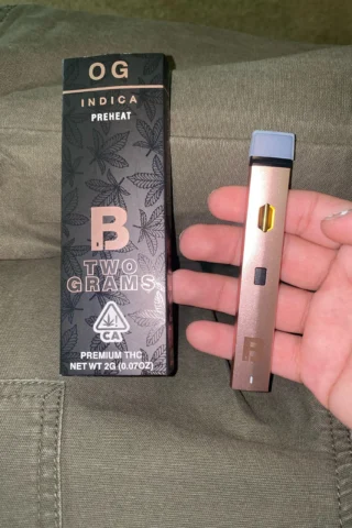 Blinker 2G Disposable OG INDICA